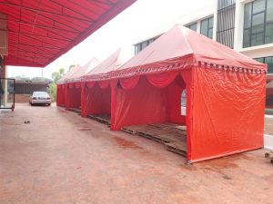 Red Pyramid Canopy with Transparent Window f007a3cc 0e23 4190 9bf2 d3fce4a28005