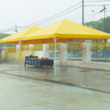 yellow-canopy-6