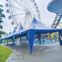 blue-canopy (4)