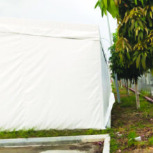one-side-canopy (11)