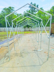 Push & Pull Canopy push pull 1