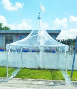 Transparent Arabian Canopy transparent canopy 1