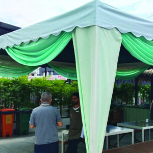 Canopy Scallop