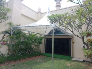 Arabian Transparent Canopy arabian 1 1