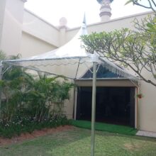 arabian-1