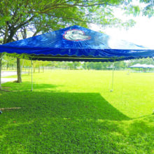 blue-canopy-3