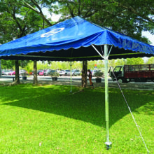 blue-canopy-4
