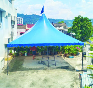 Replace Arabian Canopy photo 2025 10 14 01 58 00