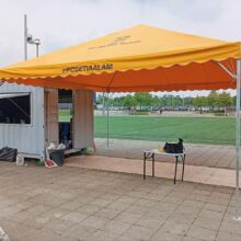 yellow-canopy-2