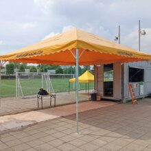 yellow-canopy-3