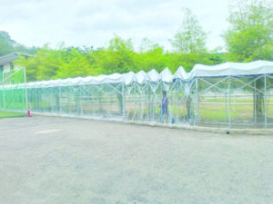 Push & Pull Canopy cw Transparent Sidewall sidewall 1