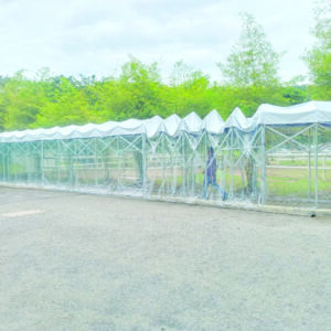 Push & Pull Canopy cw Transparent Sidewall